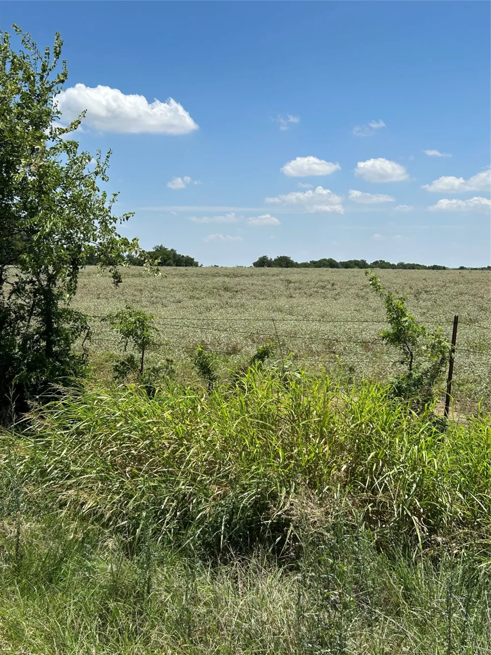 1170 Airport Road Tioga, TX 76271