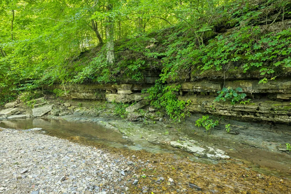 5185 Old Harding Rd Franklin, TN 37064