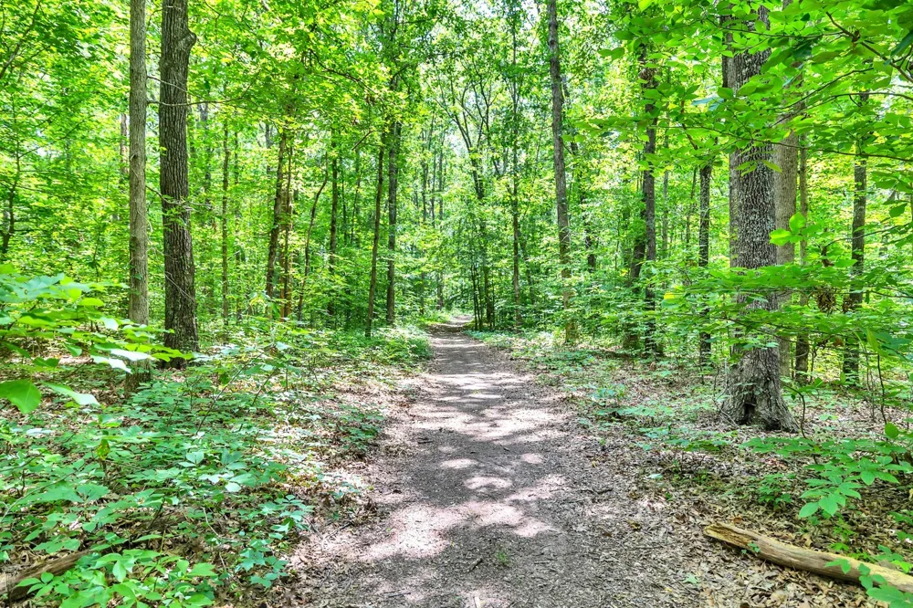 5185 Old Harding Rd Franklin, TN 37064