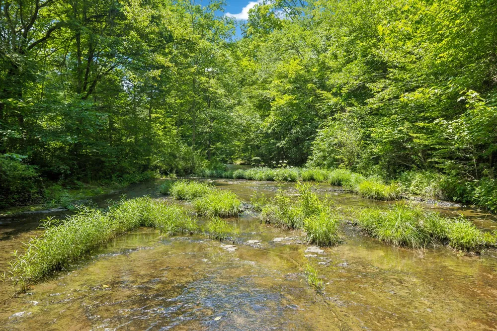 5185 Old Harding Rd Franklin, TN 37064