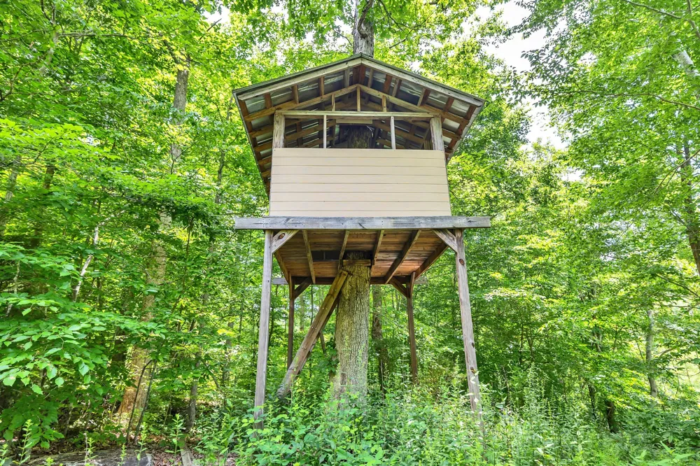 5185 Old Harding Rd Franklin, TN 37064