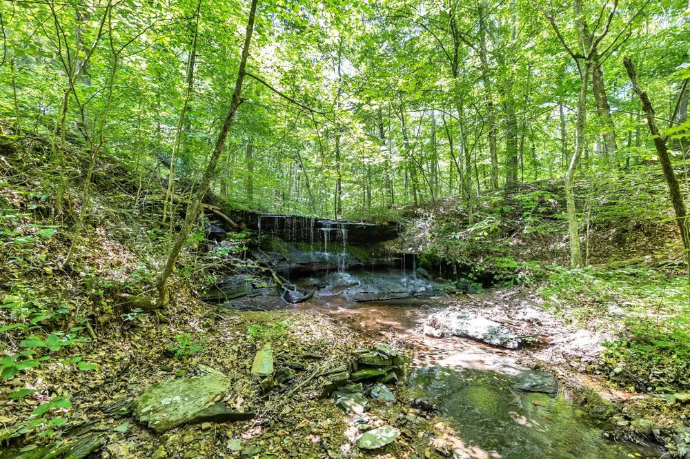 5185 Old Harding Rd Franklin, TN 37064