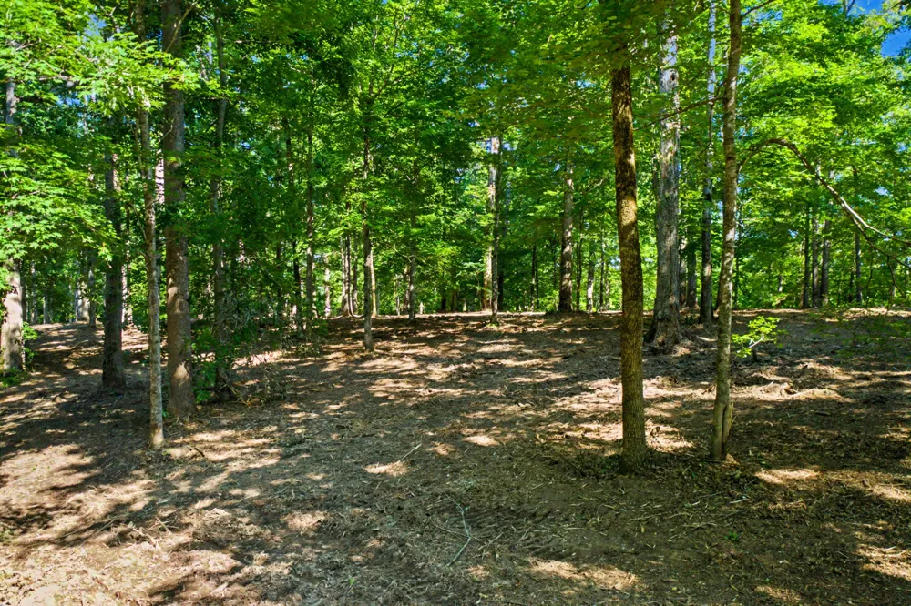 5185 Old Harding Rd Franklin, TN 37064