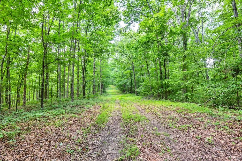 5185 Old Harding Rd Franklin, TN 37064
