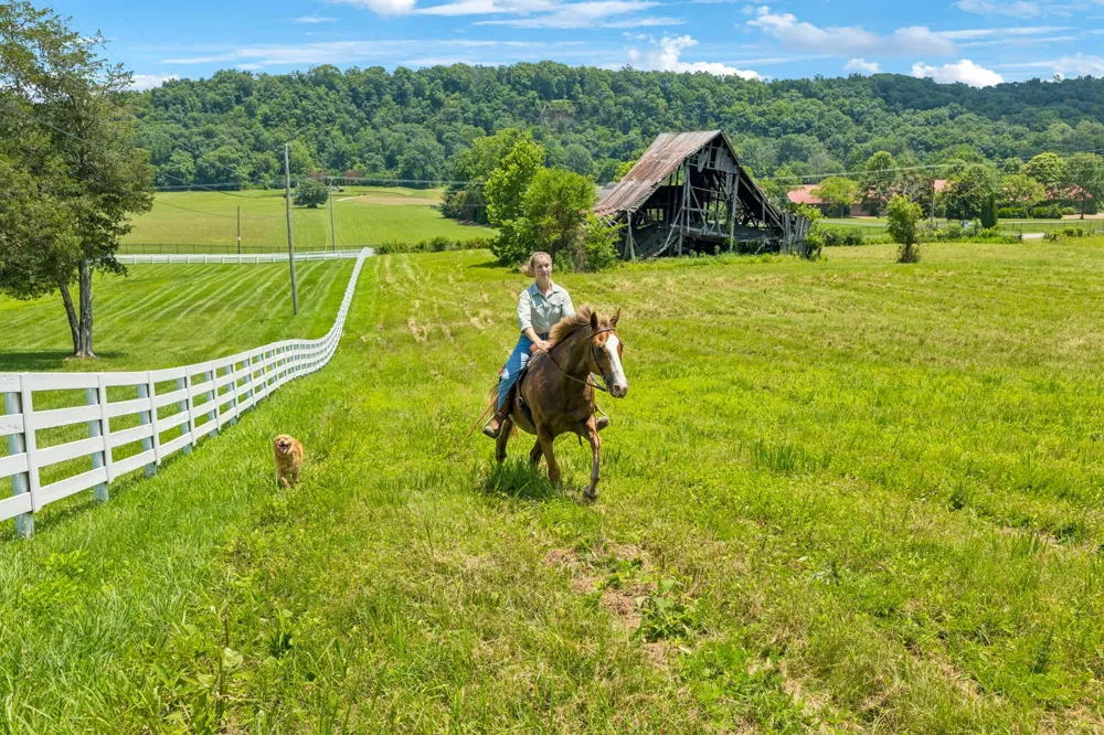 5185 Old Harding Rd Franklin, TN 37064