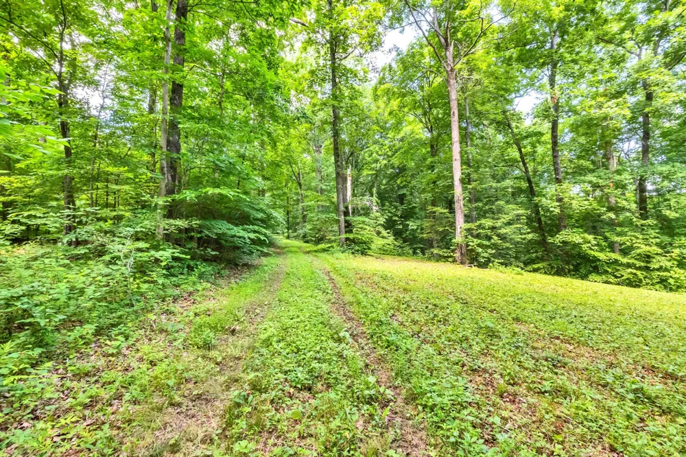 5185 Old Harding Rd Franklin, TN 37064