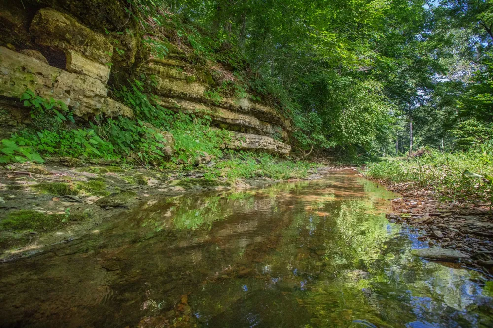 5185 Old Harding Rd Franklin, TN 37064
