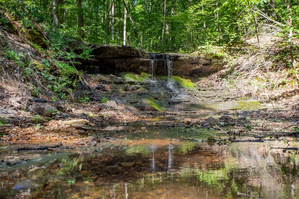 5185 Old Harding Rd Franklin, TN 37064