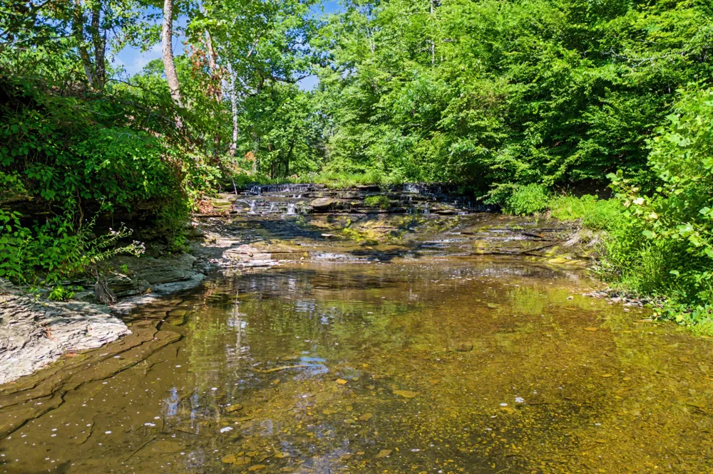 5185 Old Harding Rd Franklin, TN 37064