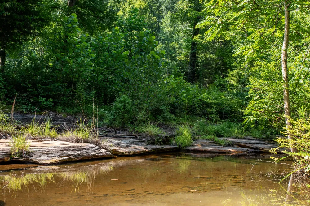 5185 Old Harding Rd Franklin, TN 37064