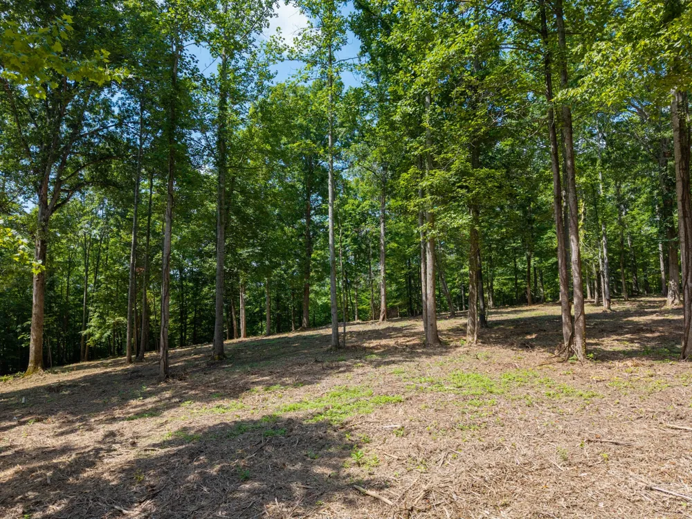 5185 Old Harding Rd Franklin, TN 37064