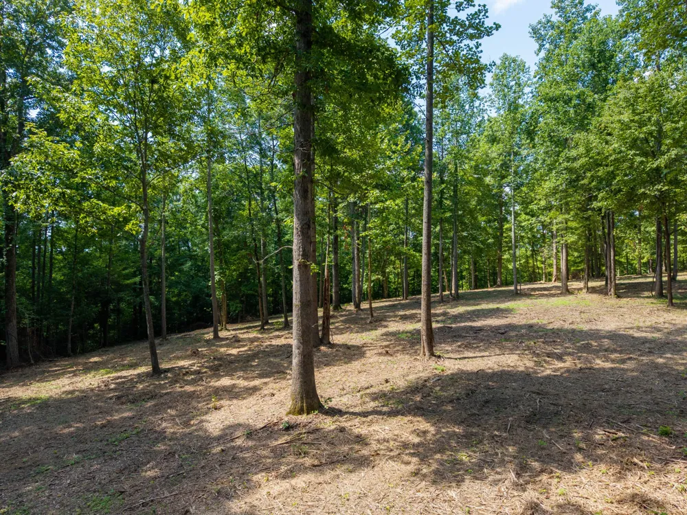 5185 Old Harding Rd Franklin, TN 37064