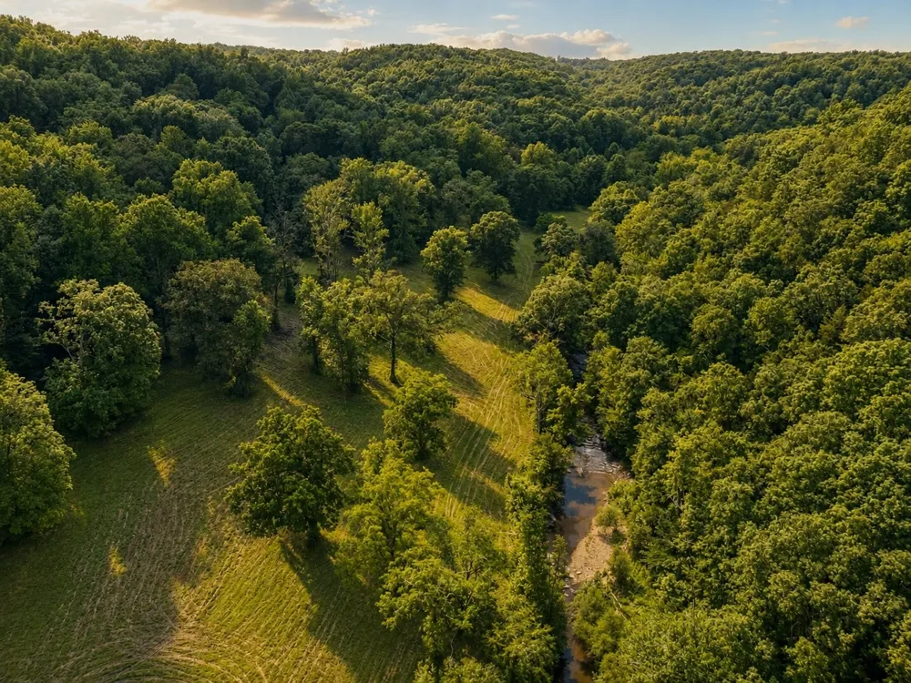 5185 Old Harding Rd Franklin, TN 37064