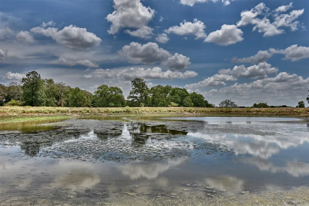 Mt Vernon Road Brenham, TX 77833