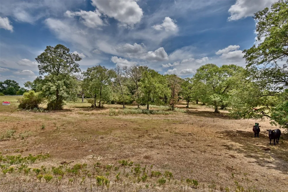 Mt Vernon Road Brenham, TX 77833