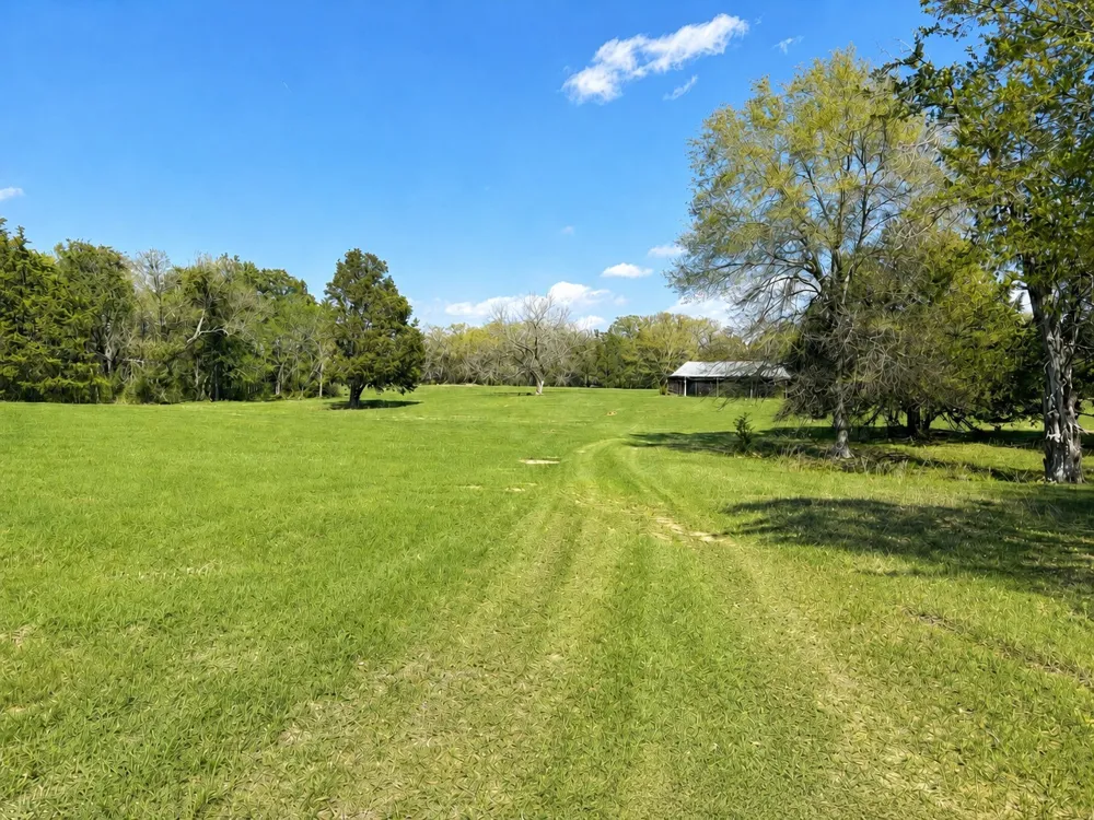 4155 FM 3096 Kerens, TX 75144