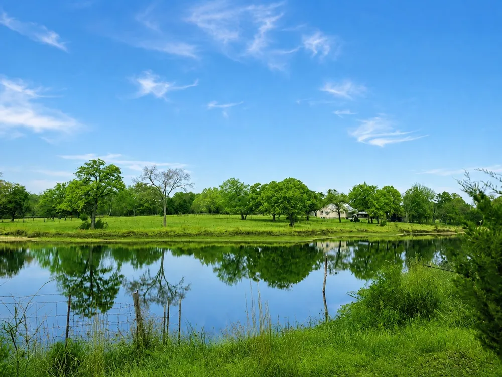4155 FM 3096 Kerens, TX 75144