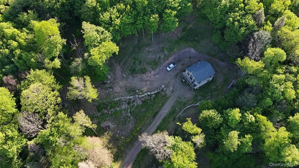 157 Wolfs Lair Hamden, NY 13782