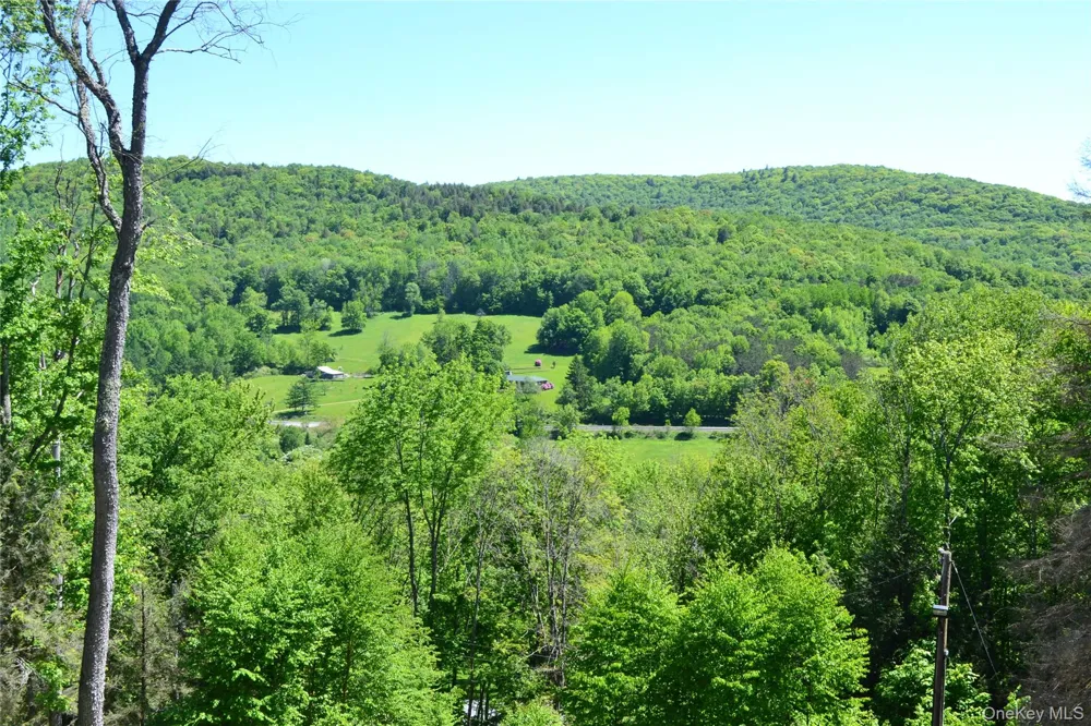 157 Wolfs Lair Hamden, NY 13782