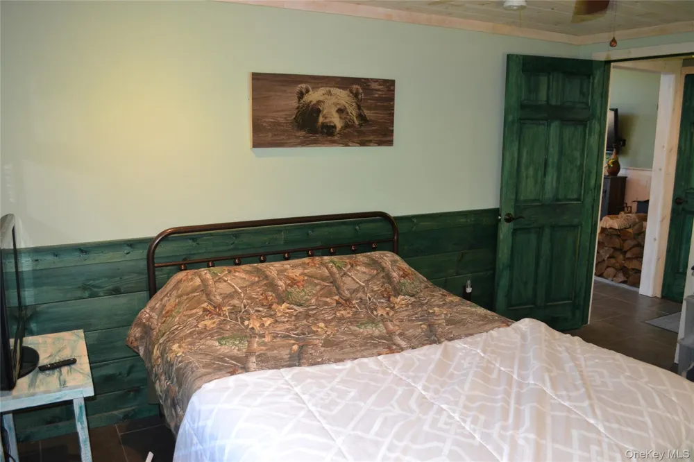 157 Wolfs Lair Hamden, NY 13782