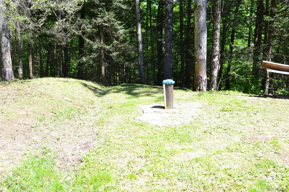 157 Wolfs Lair Hamden, NY 13782