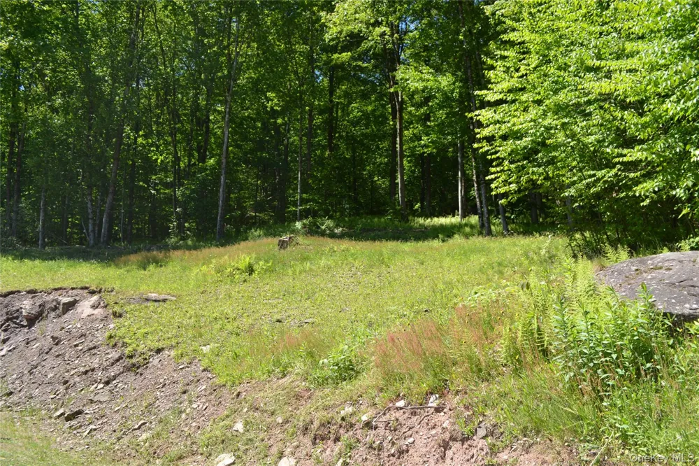 157 Wolfs Lair Hamden, NY 13782