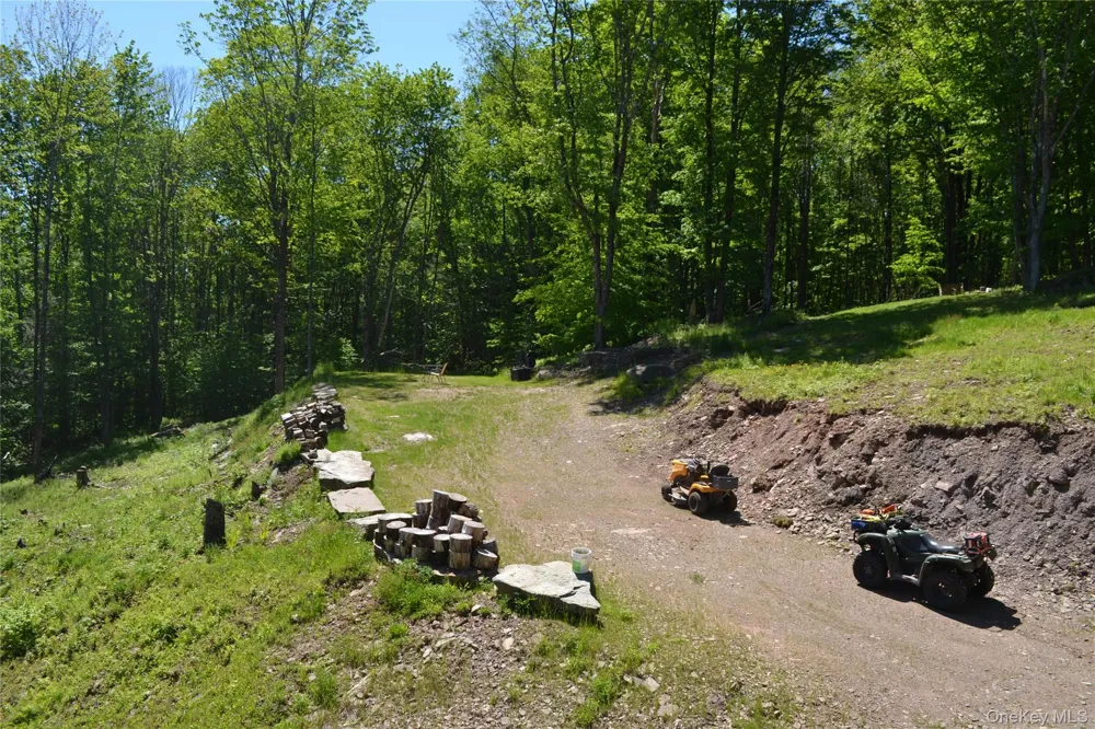 157 Wolfs Lair Hamden, NY 13782