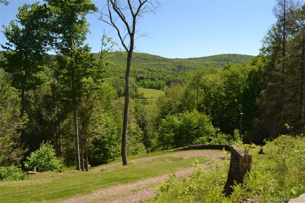 157 Wolfs Lair Hamden, NY 13782