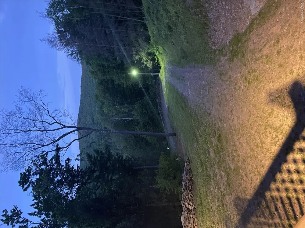 157 Wolfs Lair Hamden, NY 13782