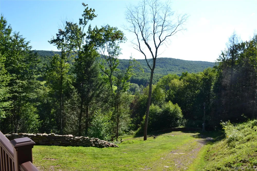 157 Wolfs Lair Hamden, NY 13782