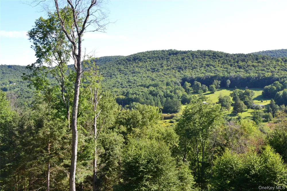 157 Wolfs Lair Hamden, NY 13782
