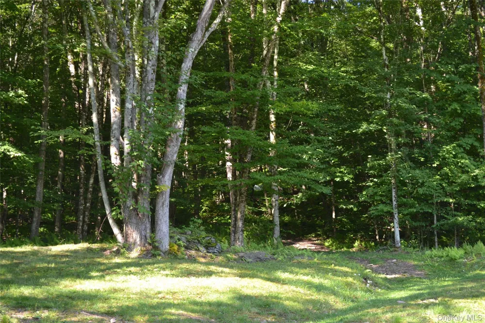157 Wolfs Lair Hamden, NY 13782