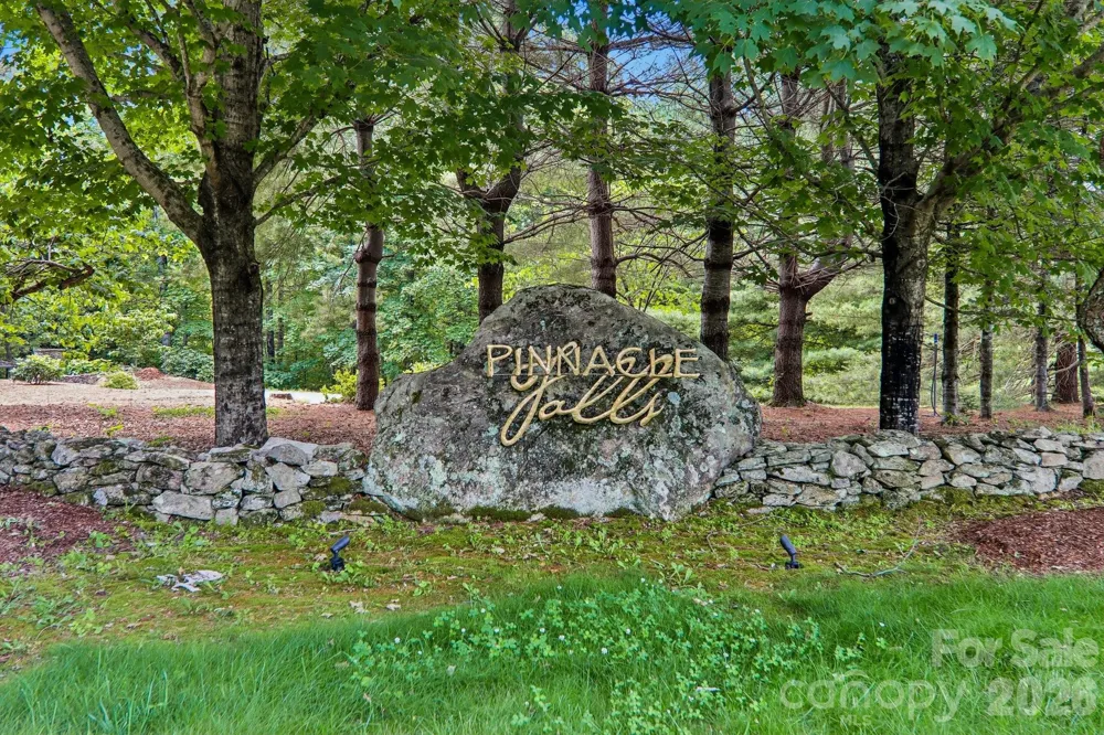 11 Magnolia Branch Drive Zirconia, NC 28790