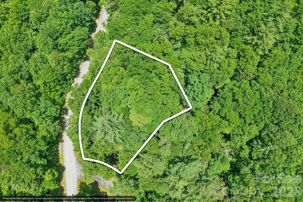 11 Magnolia Branch Drive Zirconia, NC 28790