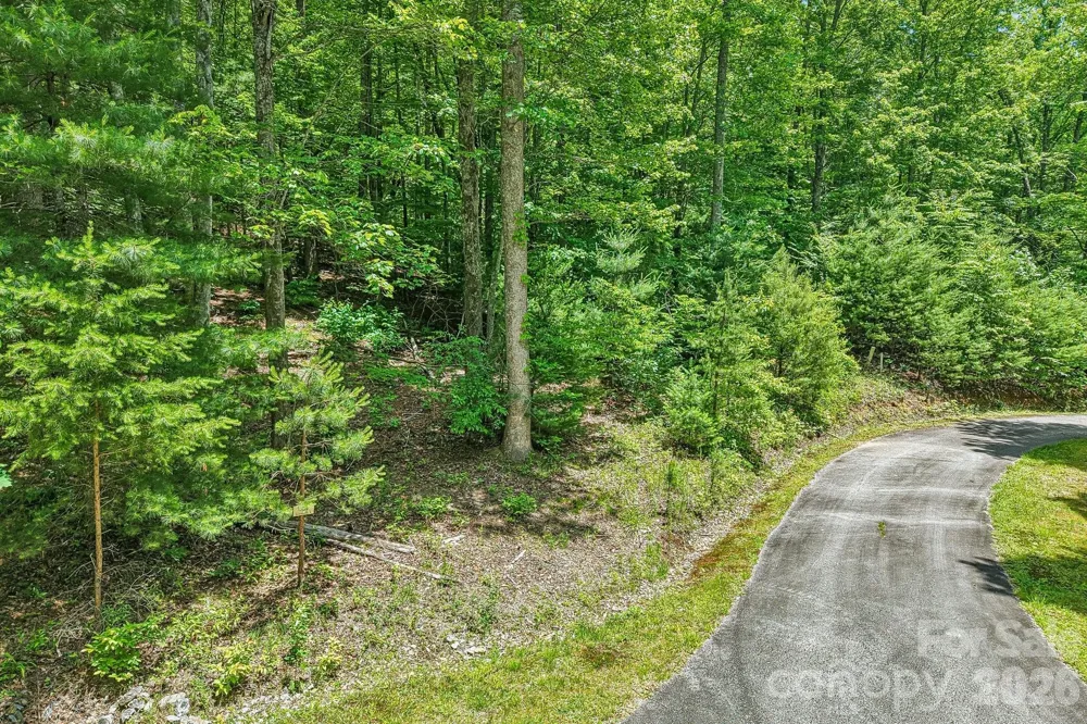 11 Magnolia Branch Drive Zirconia, NC 28790