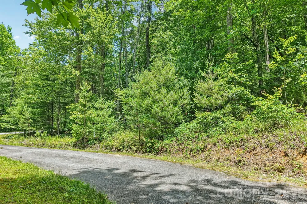 11 Magnolia Branch Drive Zirconia, NC 28790