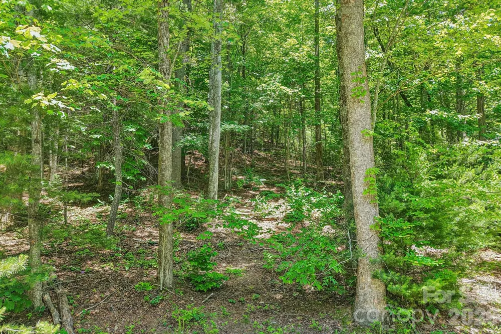 11 Magnolia Branch Drive Zirconia, NC 28790