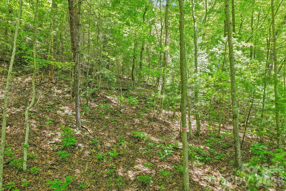 11 Magnolia Branch Drive Zirconia, NC 28790