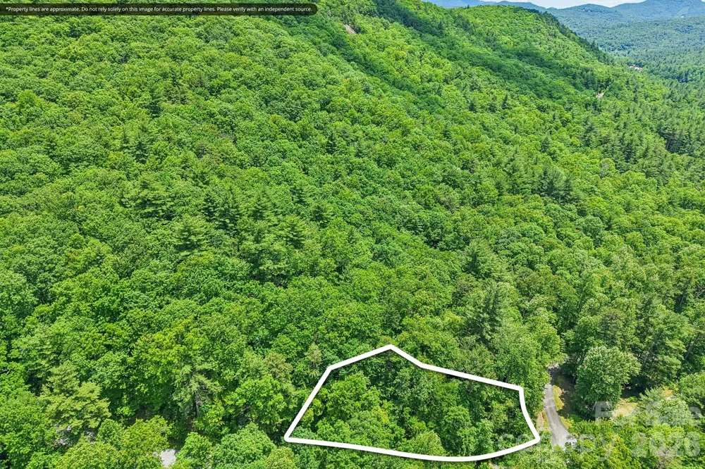 11 Magnolia Branch Drive Zirconia, NC 28790