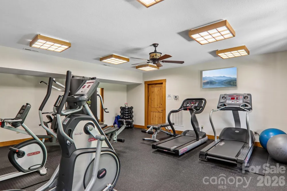 11 Magnolia Branch Drive Zirconia, NC 28790