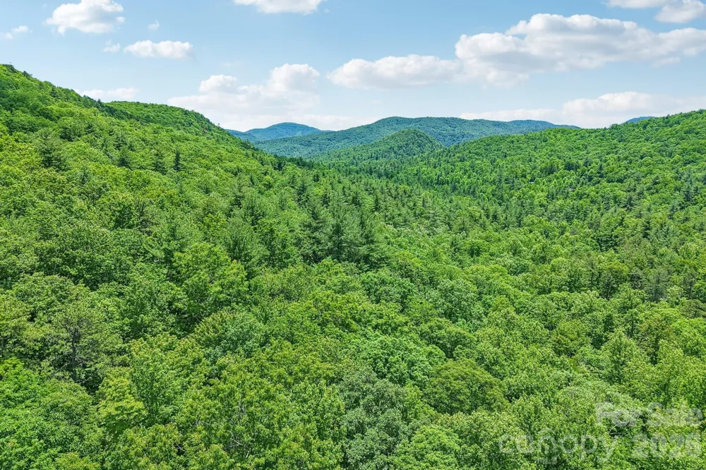 11 Magnolia Branch Drive Zirconia, NC 28790