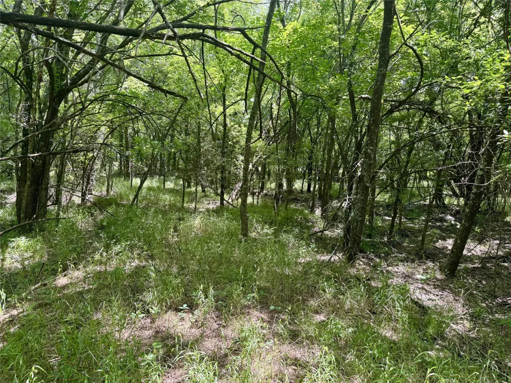 6540 County Road 4813 Commerce, TX 75449