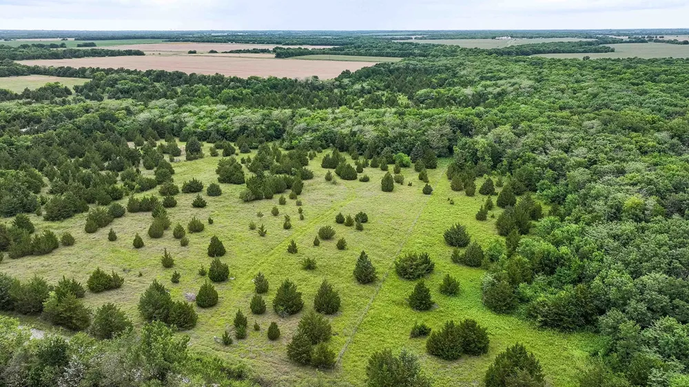 6540 County Road 4813 Commerce, TX 75449