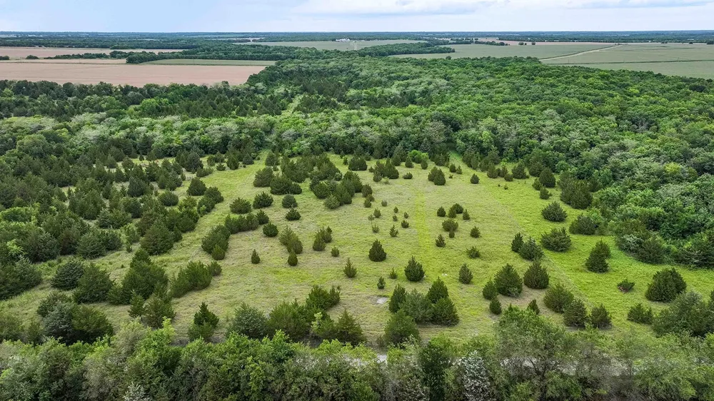 6540 County Road 4813 Commerce, TX 75449