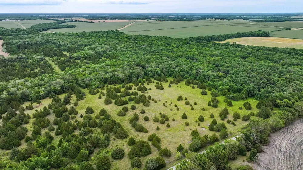 6540 County Road 4813 Commerce, TX 75449
