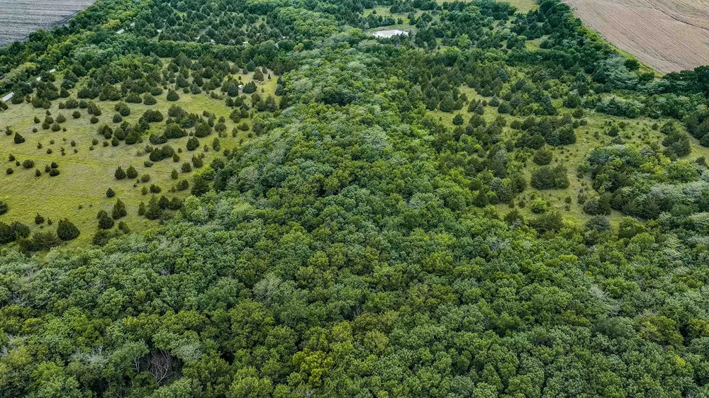6540 County Road 4813 Commerce, TX 75449