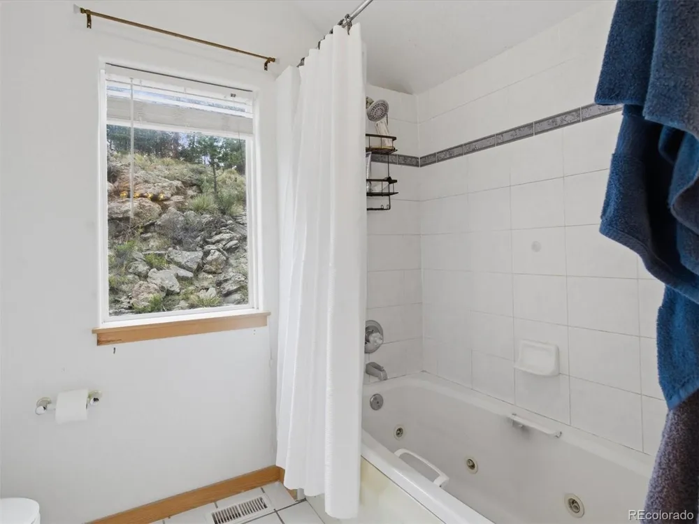 117 Spruce Trail Bailey, CO 80421