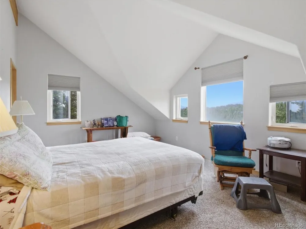 117 Spruce Trail Bailey, CO 80421