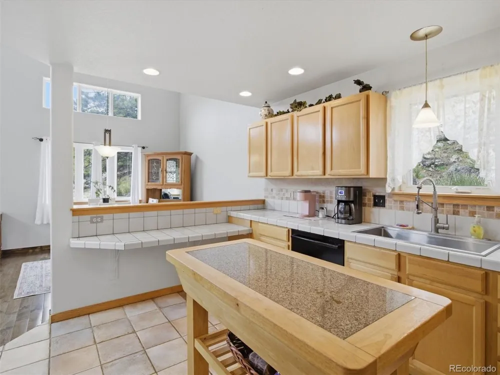 117 Spruce Trail Bailey, CO 80421