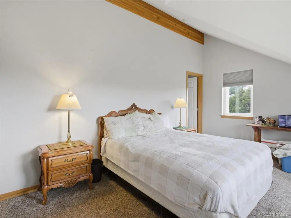 117 Spruce Trail Bailey, CO 80421